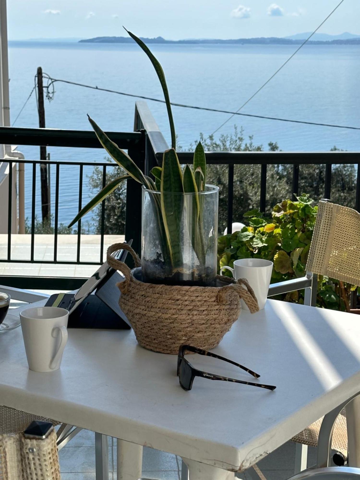 Vladimiros Apartments برباتي المظهر الخارجي الصورة
