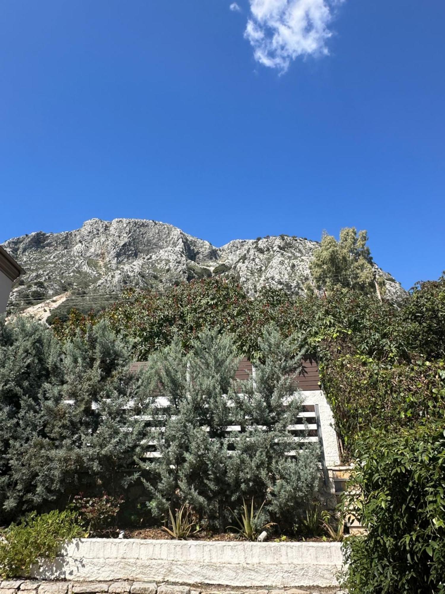 Vladimiros Apartments برباتي المظهر الخارجي الصورة