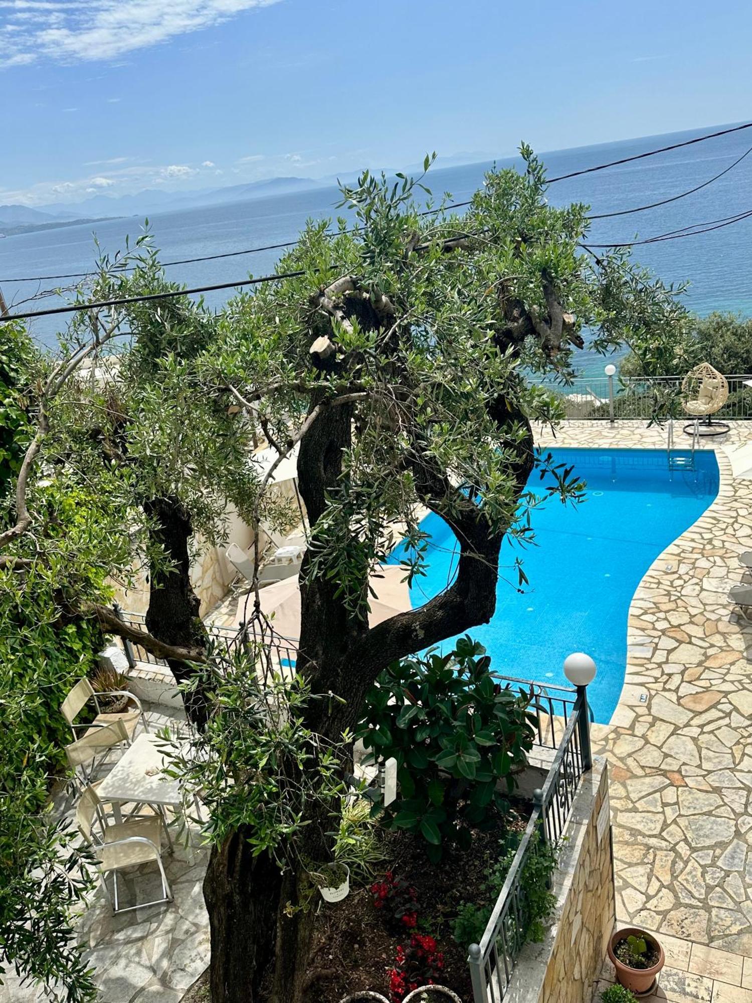 Vladimiros Apartments برباتي المظهر الخارجي الصورة