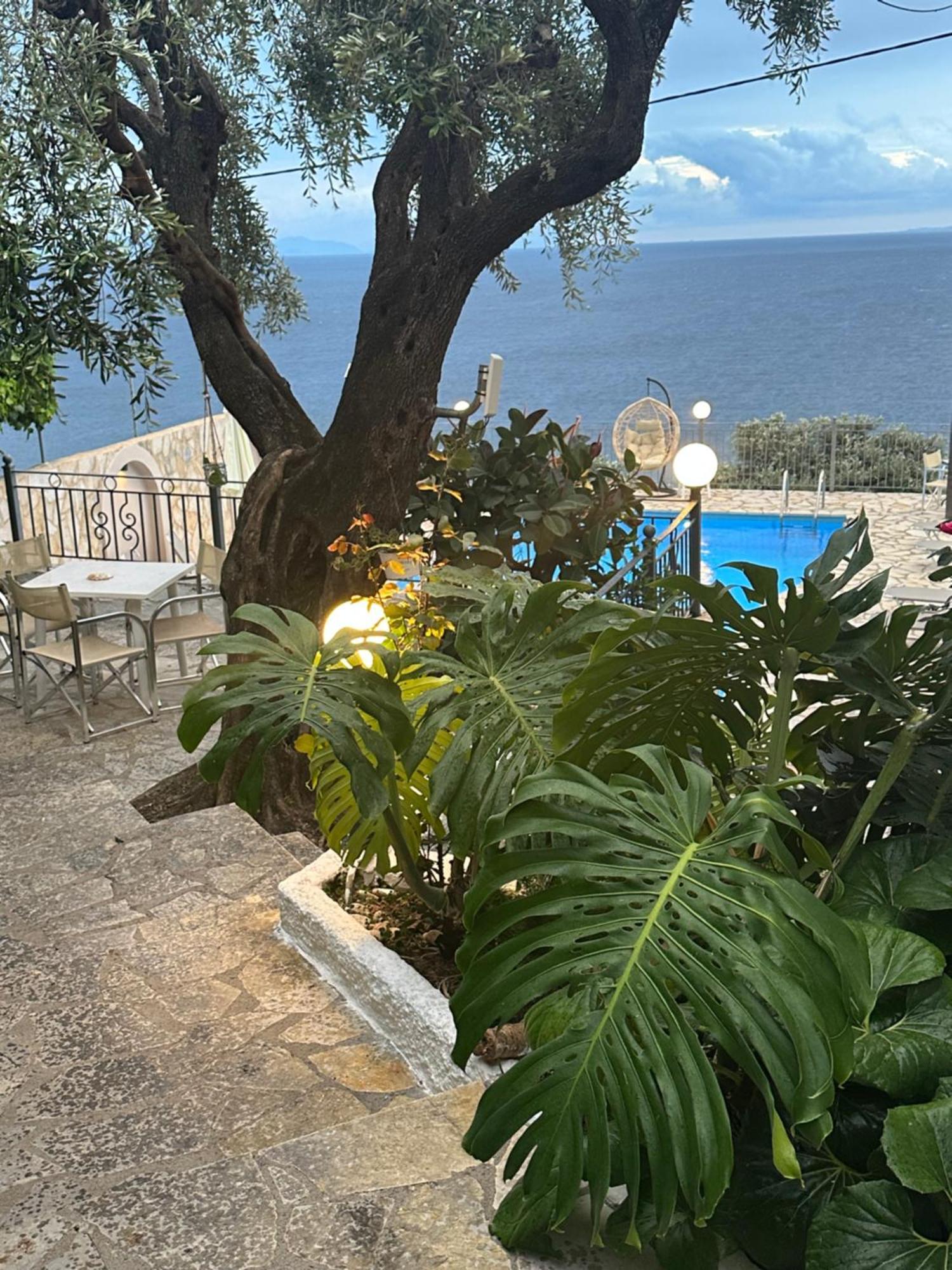 Vladimiros Apartments برباتي المظهر الخارجي الصورة