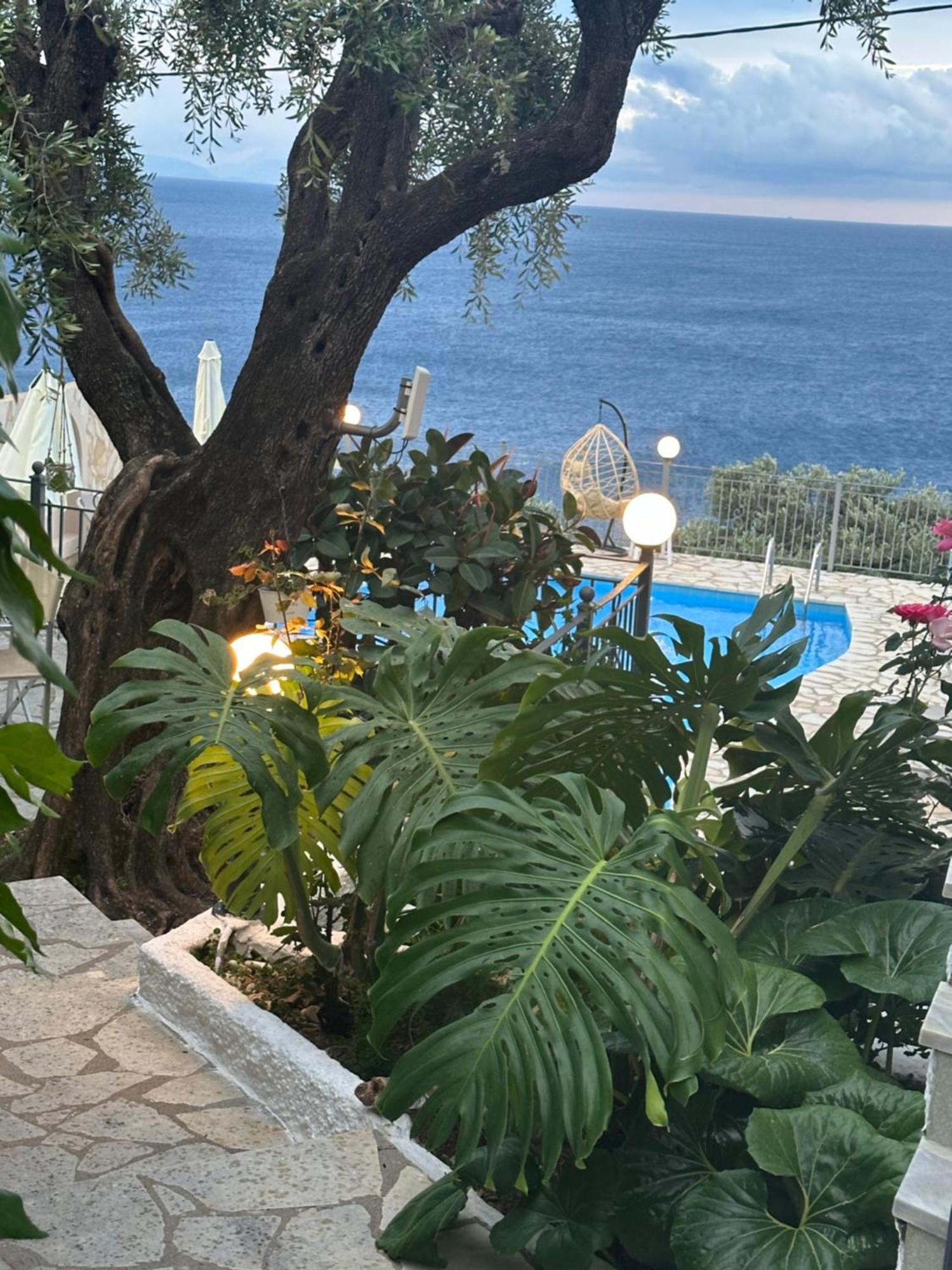 Vladimiros Apartments برباتي المظهر الخارجي الصورة